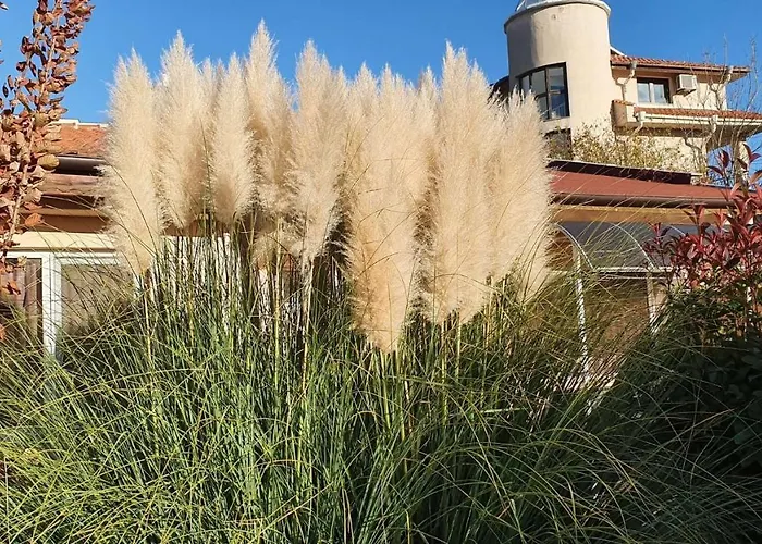 Хотел Family Kedara 2*