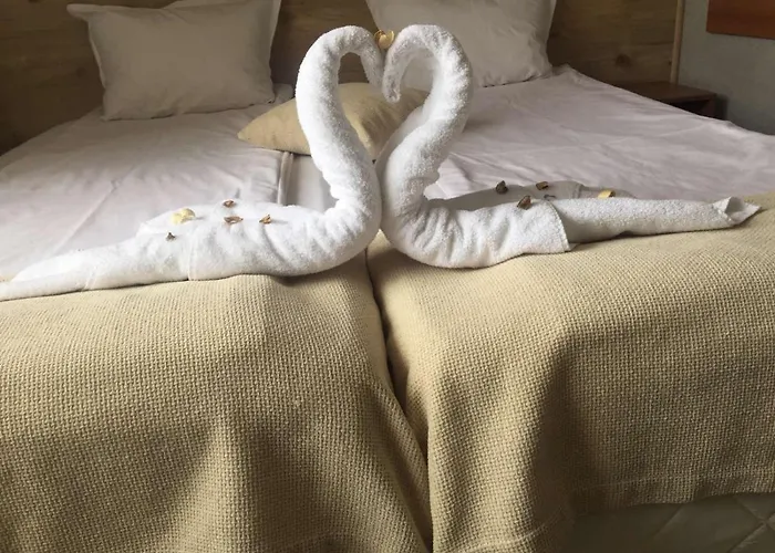 Family Kedara 2* Бургас